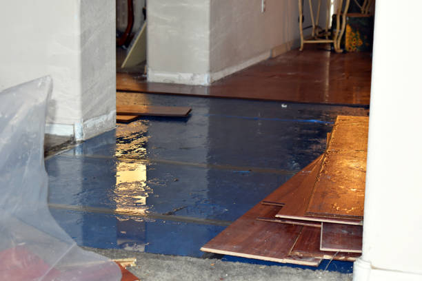 Professional Sewage Cleanup technician working in Harlan, IN